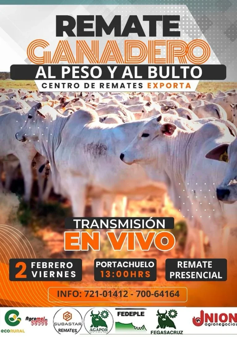 REMATE GANADERO, en Santa Cruz, el 2-febrero