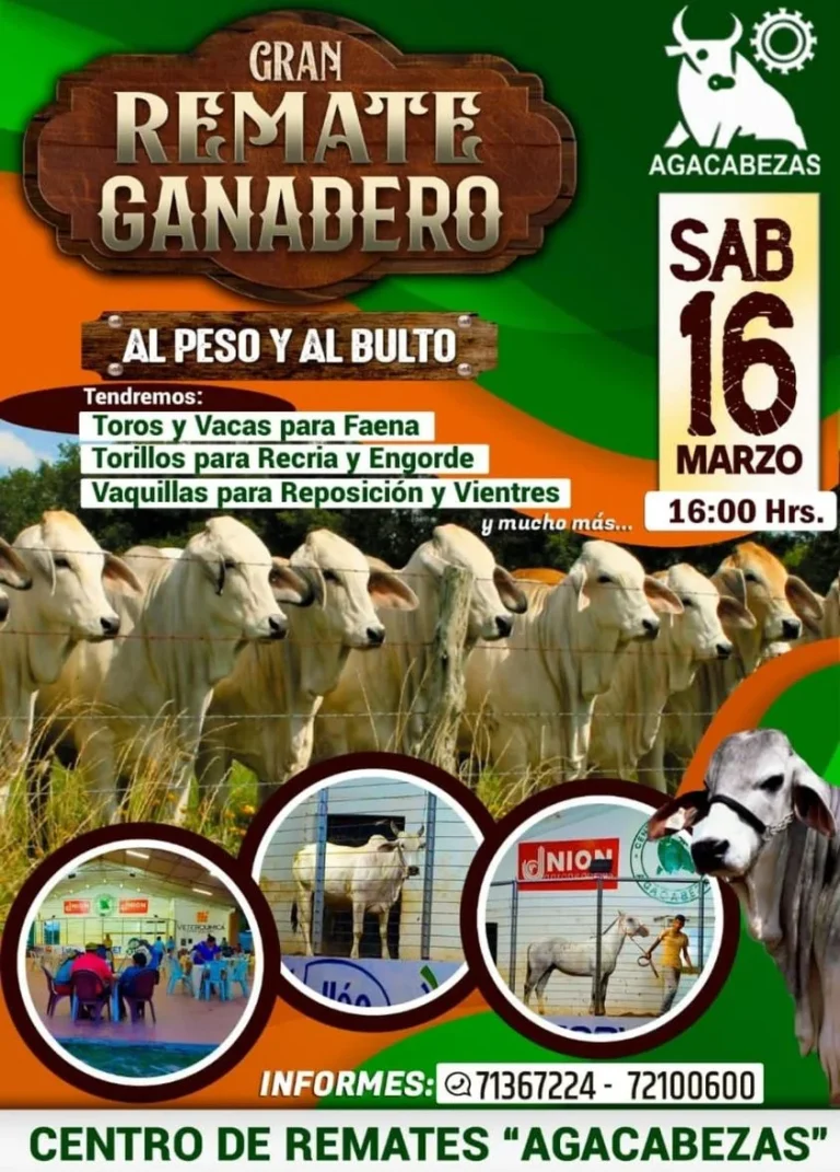 REMATE DE GANADO COMERCIAL, en Santa Cruz, el 16-marzo