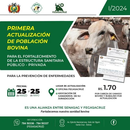 ACTUALIZACIÓN DE POBLACIÓN BOVINA, en Santa Cruz, del 20 al 22-marzo