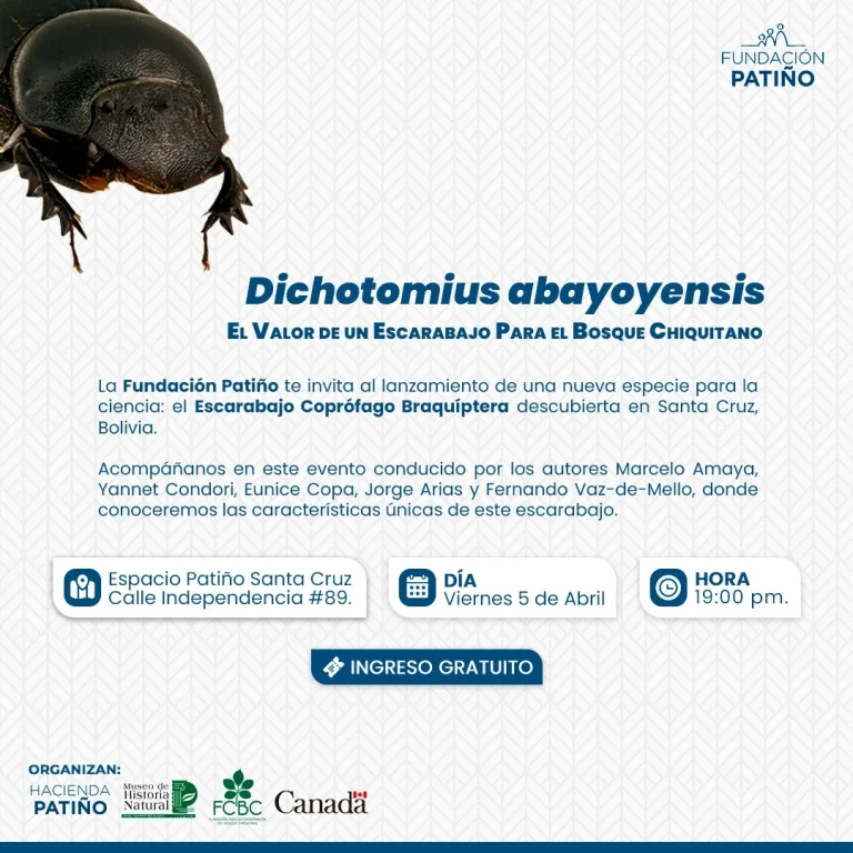 Lanzamiento NUEVA ESPECIE DE ESCARABAJO, en Santa Cruz, el 5-abril