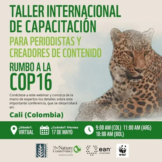 Taller internacional CAMINO A LA COP16, virtual, el 17-mayo