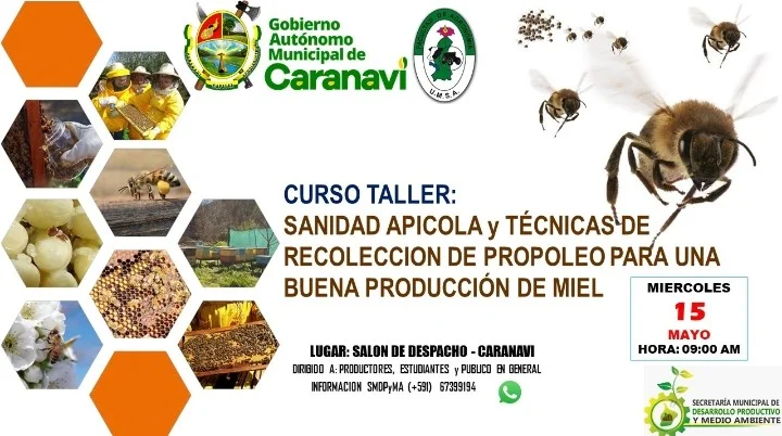 08_13_zTaller-SANIDAD-APICOLA-d57
