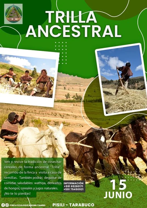 07_10_TRILLA-ANCESTRAL-3f7