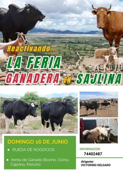 FERIA GANADERA EN SALIJNA, en Chuquisaca, el 16-junio