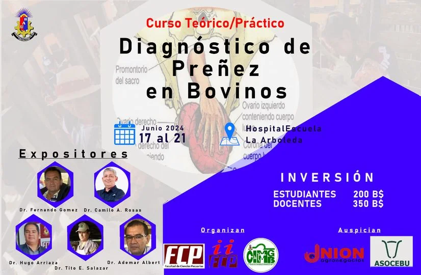 07_17_Curso-DIAGNOSTICO-DE-PRENES-b9e