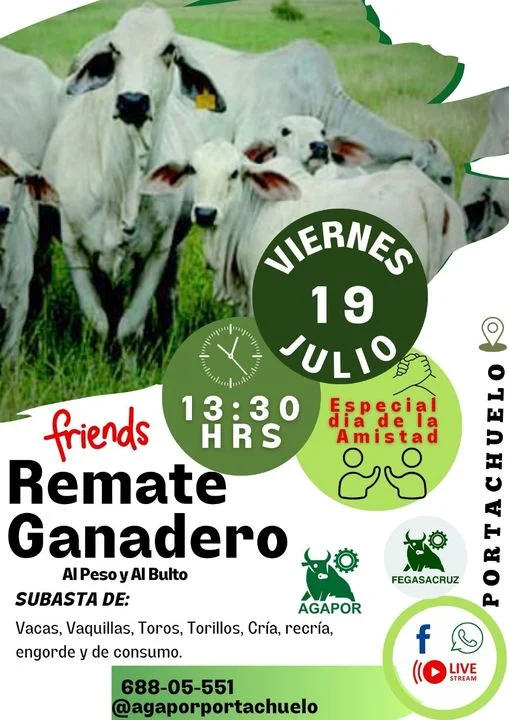 REMATE DE GANADO AL PESO Y AL BULTO, en Santa Cruz, el 19-julio
