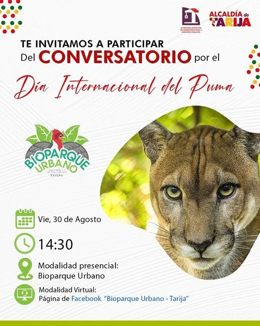 Conversatorio DÍA INTERNACIONAL DEL PUMA, virtual, el 30-agosto
