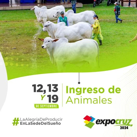 04_12_INGRESAN-LOS-ANIMALES-c2d