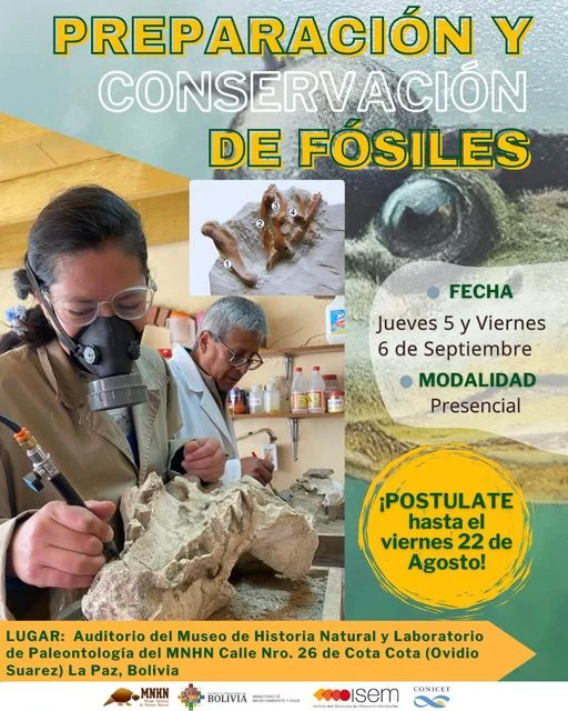 04_2_Curso-PREPARACION-Y-CONSERVACION-979
