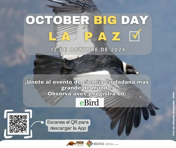 03_10_OCTOBER-BIG-DAY-en-La-Paz-993