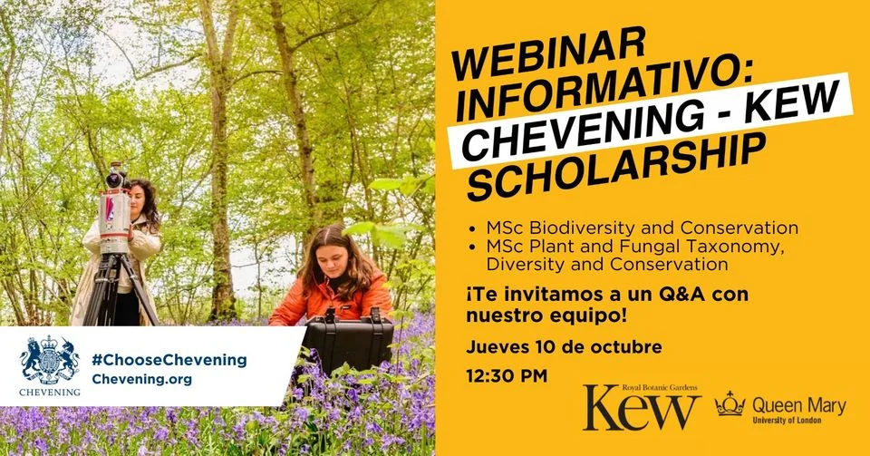 03_10_Seminario-BECA-CHEVENING-b90