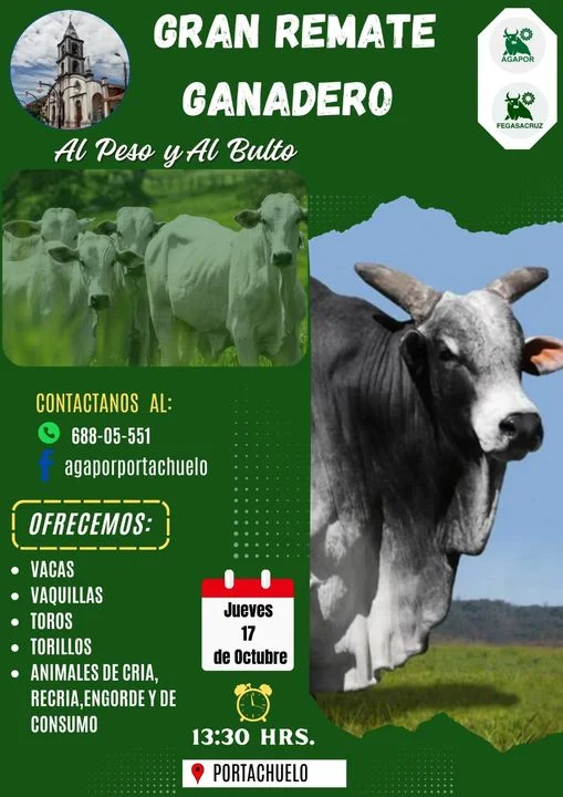 REMATE GANADERO EN PORTACHUELO, en Santa Cruz, el 17-octubre