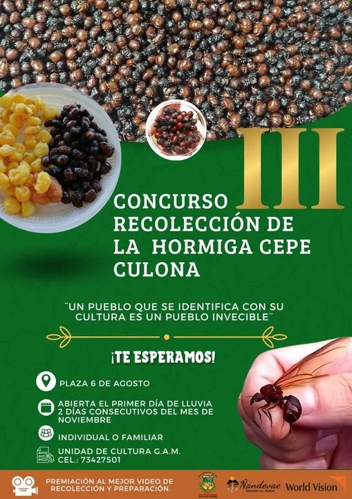 Concurso RECOLECCIÓN DE HORMIGA CEPE, en Chuquisaca