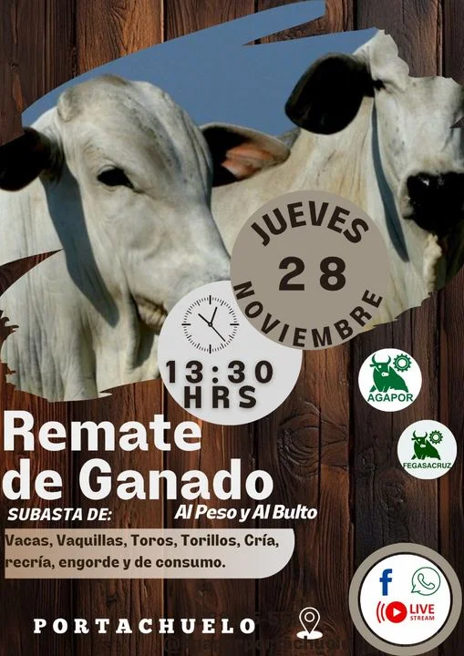 REMATE DE GANADO, en Portachuelo – Santa Cruz, el 28-nov.