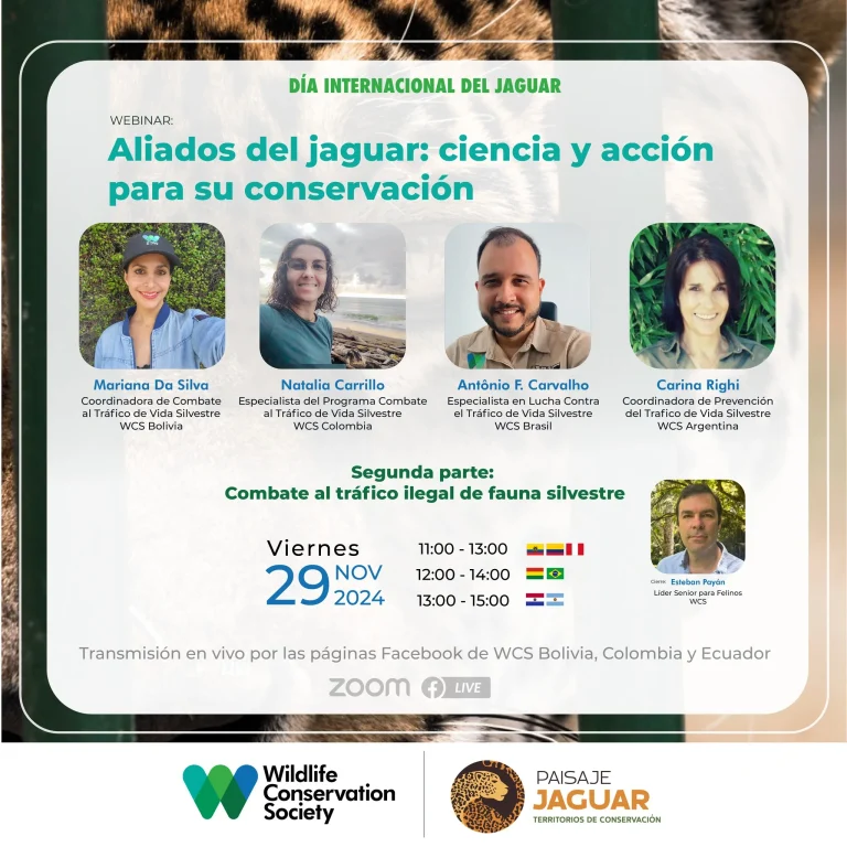 Seminario ALIADOS DEL JAGUAR: CIENCIA Y ACCIÓN PARA SU CONSERVACIÓN, virtual, el 29-nov.