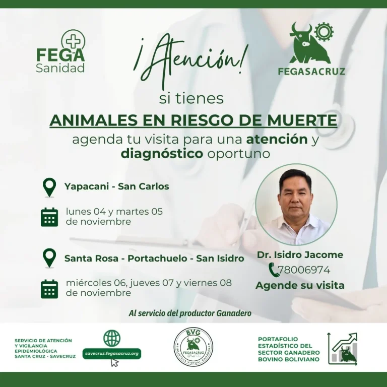 Campaña ATENCIÓN Y DIAGNOSTICO DE GANADO, en Yapacani y San Carlos – Santa Cruz, el 4 y 5-nov.