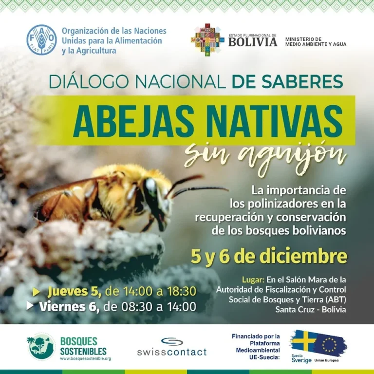 Diálogo Nal. ABEJAS NATIVAS SIN AGUIJÓN, en Santa Cruz, el 5 y 6-dic.