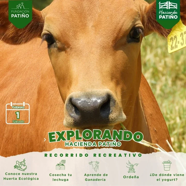 EXPLORANDO LA HACIENDA PATIÑO. En Cochabamba el 1-febrero