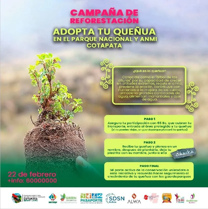 Campaña ADOPTA TU QUEÑUA EN EL PARQUE NACIONAL Y ANMI COTAPATA, en La Paz, el 22-febrero 11_17_ADOPTA-TU-QUENUA-EN-a21