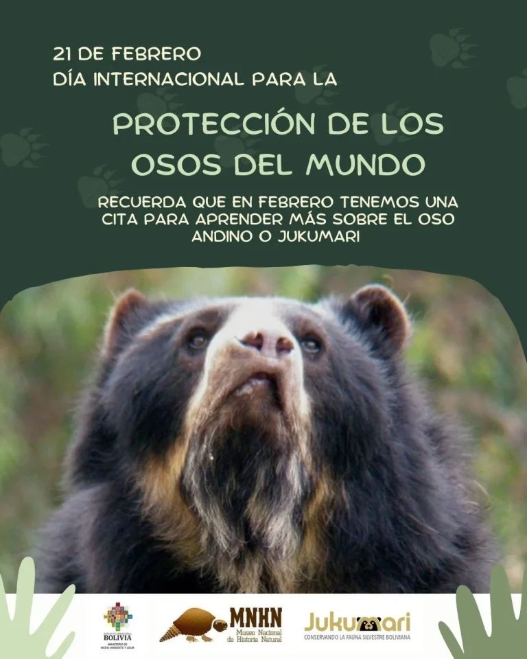 FESTIVAL DEL OSO ANDINO, en La Paz, el 22-febrero