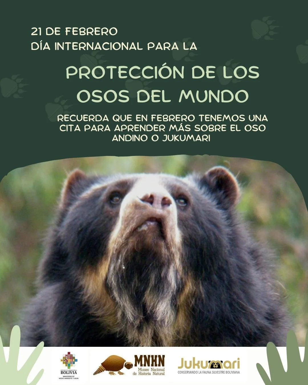 11_17_FESTIVAL-DEL-OSO-ANDINO1-bad