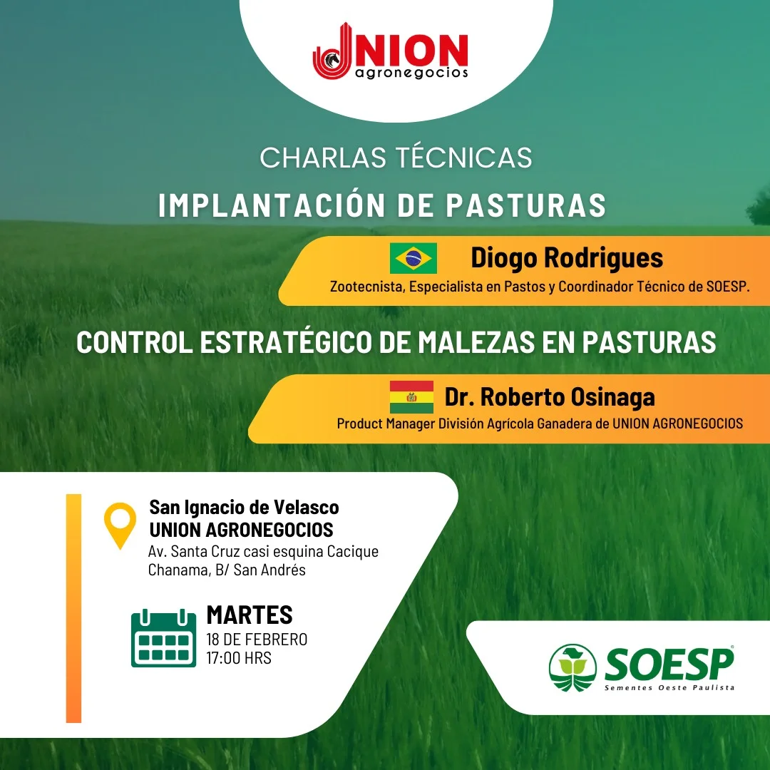 11_17_zCharlas-IMPLANTACION-dde
