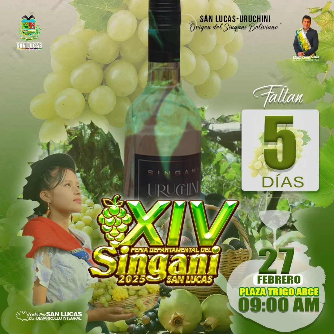 11_27_FERIA-DEPARTAMENTAL-DEL-SINGANI-1-141