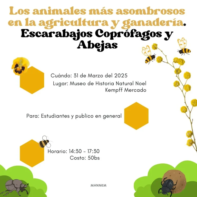 Talleres MONTAJE Y CONSERVACIÓN DE INSECTOS, y, ESCARABAJOS COPRÓFAGOS Y ABEJAS, en Santa Cruz, el 31-marzo
