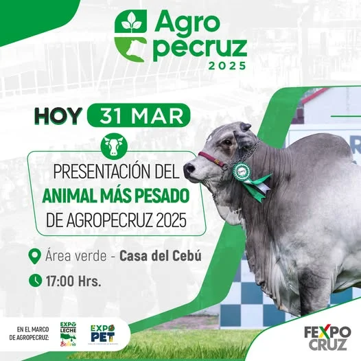 Presentación del ANIMAL MAS PESADO EN LA AGROPECRUZ, en Santa Cruz, el 31-marzo