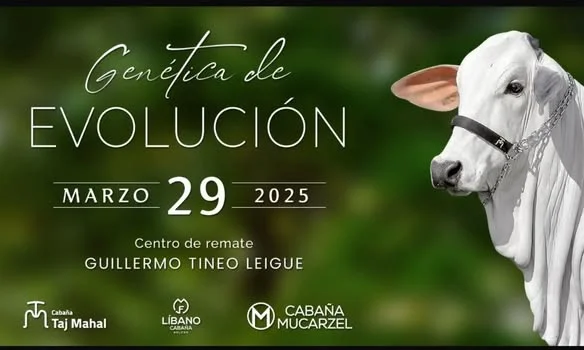 REMATE GENÉTICA DE EVOLUCIÓN, en Beni, el 29-marzo