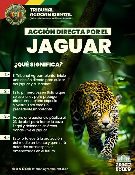Audiencia Pública PARA LA PROTECCIÓN DEL JAGUAR Y SU HÁBITAT, en Sucre – CHuquisaca, el 23-abril