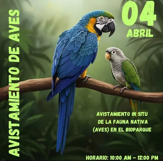 AVISTAMIENTO DE AVES, en Tarija, el 4-abril 09_3_AVISTAMIENTO-DE-AVES-845