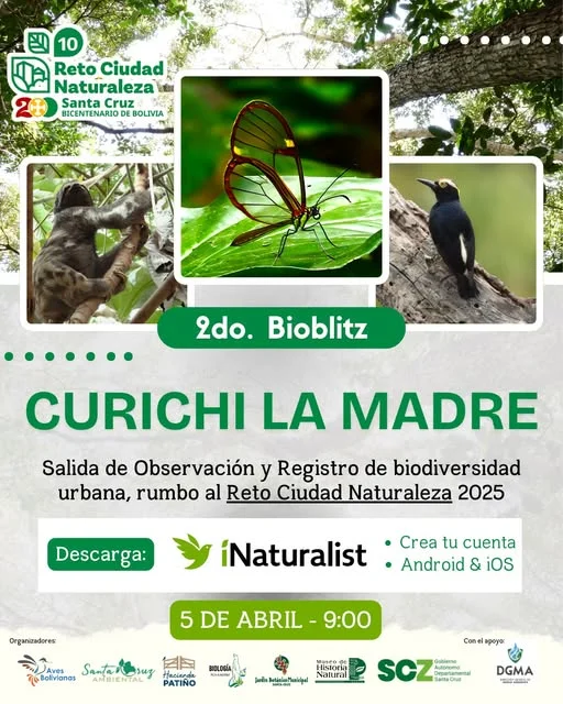 09_3_Salida-de-OBSERVACION-Y-REGISTRO-bc6