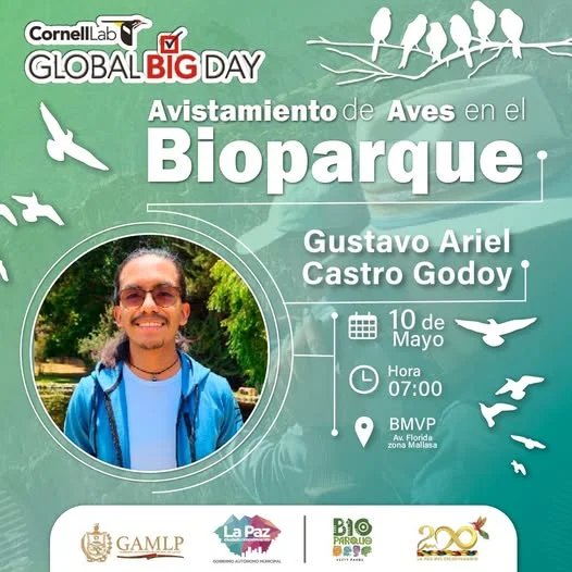 08_8_AVISTAMIENTO-DE-AVES-en-La-Paz-14a