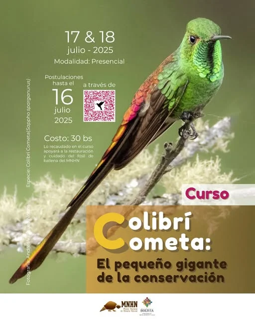 Curso COLIBRÍ COMETA: EL PEQUEÑO GIGANTE DE LA CONSERVACIÓN, en La Paz, el 17 y 18-julio