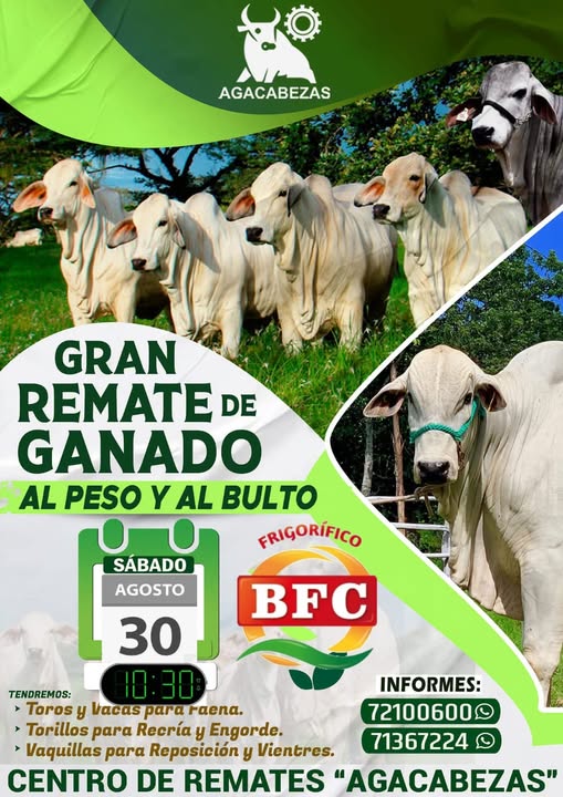 REMATE DE GANADO, en Cabezas – Santa Cruz, el 30-agosto