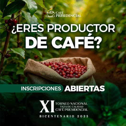 04_15-Torneo-Nacional-TAZA-d84