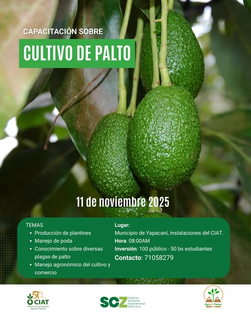 Taller CULTIVO DE PALTO, en Yapacaní – Santa Cruz, el 11-nov.