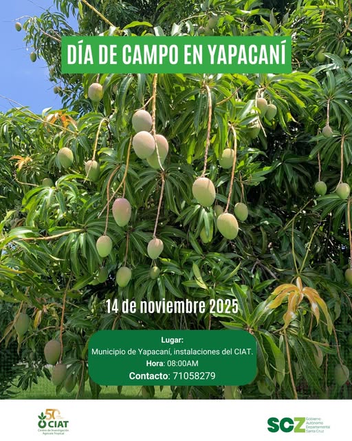 02_13_-DIA-DE-CAMPO-728
