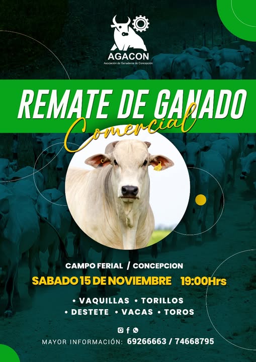 REMATE DE GANADO COMERCIAL, en Concepción – Santa Cruz, el 15-nov.