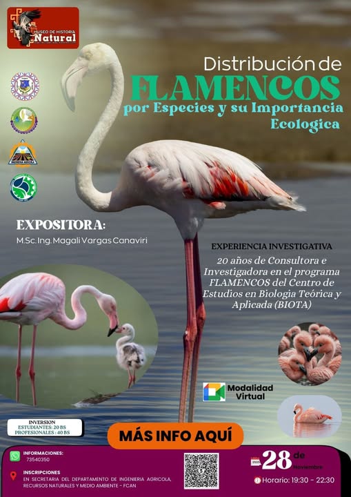 Curso DISTRIBUCIÓN DE FLAMENCOS POR ESPECIES Y SU IMPORTANCIA ECOLÓGICA, virtual, el 28-nov.