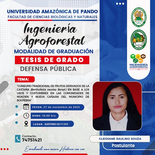 Tesis de grado CONSUMO TRADICIONAL DE FRUTOS DERIVADOS DE LA CASTAÑA, en Cobija – Pando, el 27-nov.