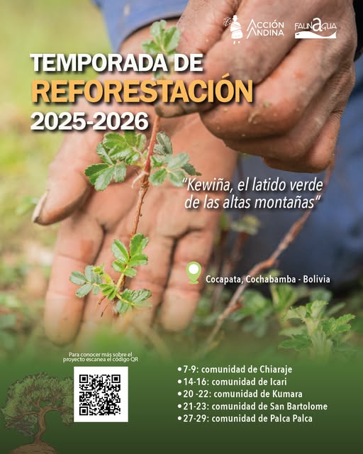12_12_TEMPORADA-DE-REFORESTACION-f5a