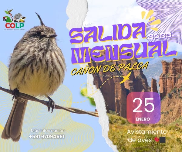 SALIDA AL CAÑÓN DE PALCA, en La Paz, el 25-enero