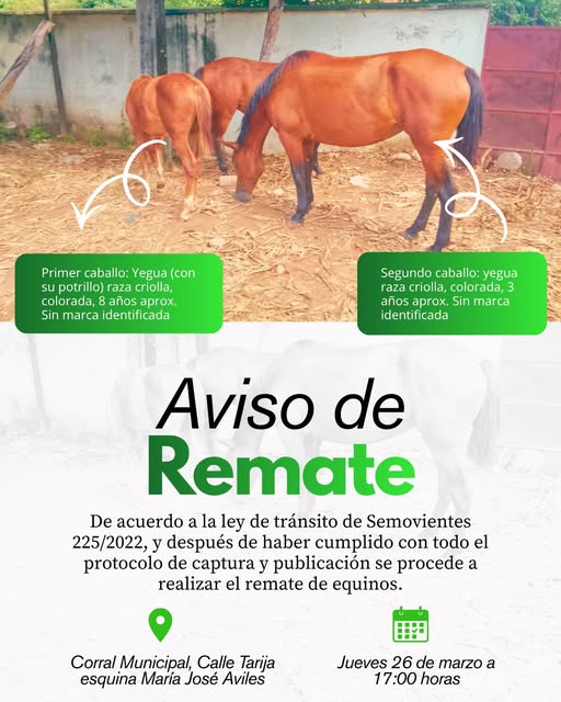 REMATE DE EQUINOS, en Bermejo – Tarija, el 28-marzo