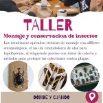 Taller TÉCNICAS DE MONTAJE Y CONSERVACIÓN DE INSECTOS, en Santa Cruz, el 6-marzo 10_2_ Taller TÉCNICAS