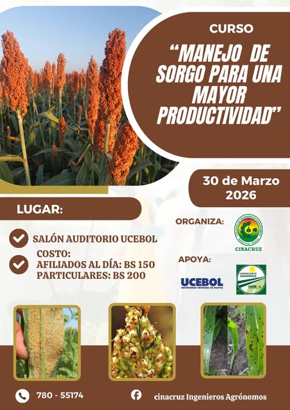Curso “Manejo del sorgo para una mayor productividad”, en Santa Cruz, el 30-marzo