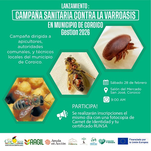 CAMPAÑA SANITARIA CONTRA LA VARROASIS – APICULTURA, en Coroico – LA Paz, el 28-febrero