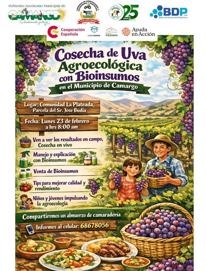 COSECHA DE UVA AGROECOLÓGICA CON BIOINSUMOS, en Los Cintis – Chuquisaca, el 23-febrero