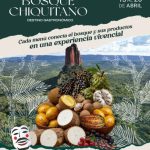 9_20_ Bosque Chiquitano